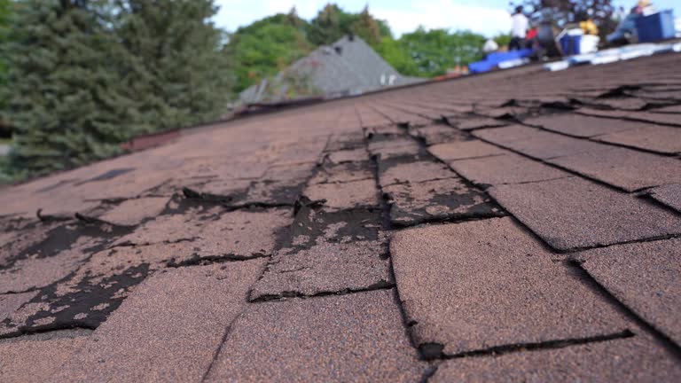 Best Gutter Installation and Repair  in Oakland, SC