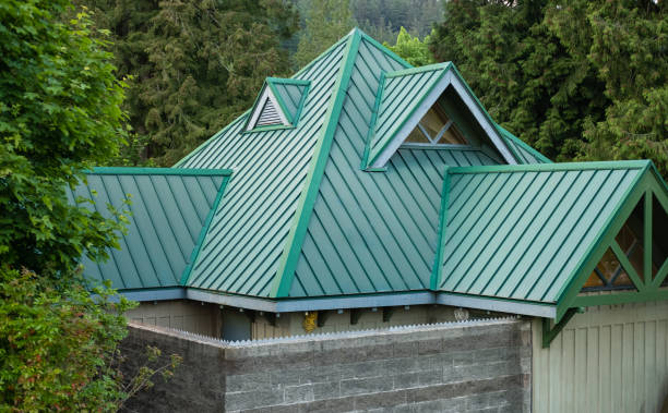 Best Roof Moss and Algae Removal  in Oakland, SC