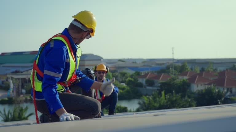 Best Sheet Metal Roofing  in Oakland, SC